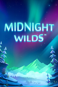 Midnight Wild